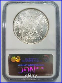 1891 CC Morgan Silver Dollar NGC MS 64 VAM 3 Spitting Eagle Mint Error Top 100