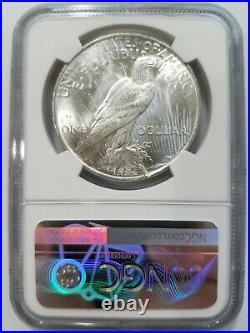 1922 Silver Peace Dollar NGC MS 63 Cracked Defective Planchet Crack Mint Error