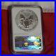 2006P American Silver Eagle $1 NGC PF69 Reverse Proof 20th Anniversary BEAUTIFUL