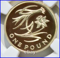 2013 £1 Wales One Pound NGC PF70 Royal Mint Finest Known Top Pop Proof