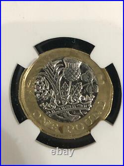 2017 ONE pound coin MINT ERROR STRUCK ON ELLIPTICAL PLANCHET 7.8G MS61 NGC RARE